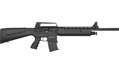 ARM601 BC 1.jpg