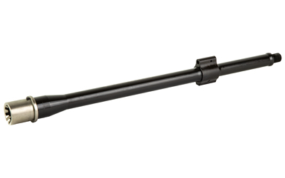 BABL223008PQ 2.jpg
