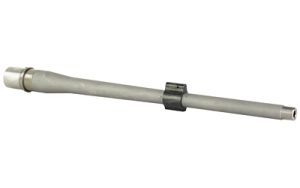BABL308019P 1.jpg