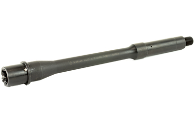 BABL556005M 1.jpg