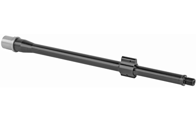 BABL556008F 2.jpg