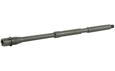 BABL556014M 1.jpg