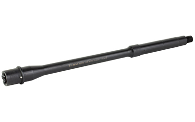 BABL556035M 2.jpg