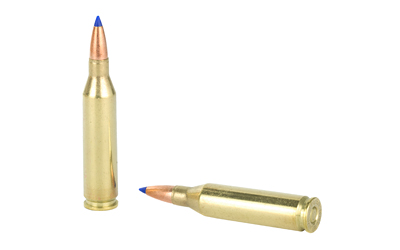 BB243W1 4.jpg