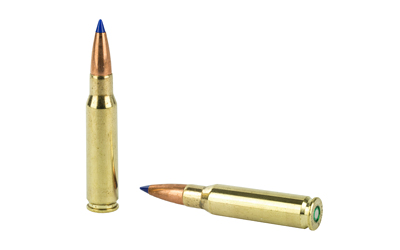 BB308W2 4.jpg