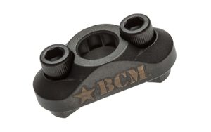 BCM MCMR SM 1.jpg
