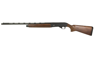 CZ06172 1.jpg