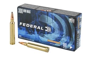 FE300WBS 1.jpg