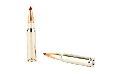 FEP308ELDX1 4.jpg