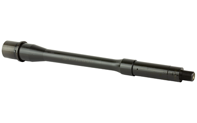 FN20 100037 1.jpg