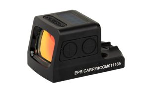 HSEPS CARRY GR MRS 1.jpg