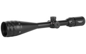 KON7274 1.jpg