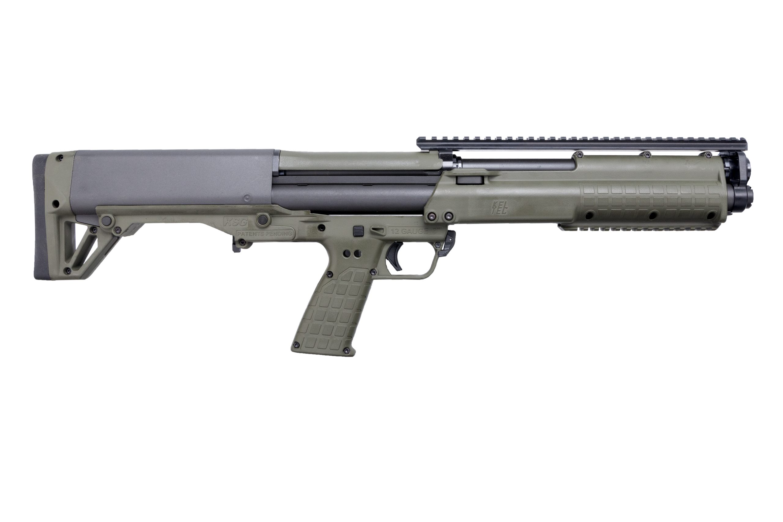 KSG CK GREEN.jpg