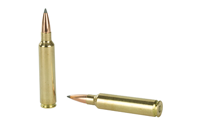 NOS60118 4.jpg