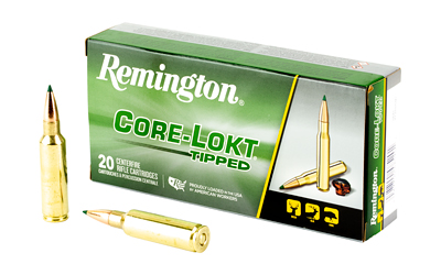 REM29043 1.jpg