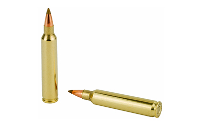 REM29220 4.jpg