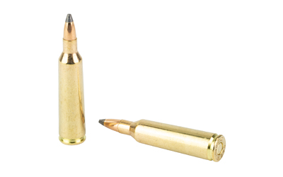 SB22250B 4.jpg