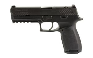 SG320F 9 BSSP 1.jpg