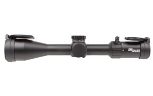 SGSOW45001 1.jpg