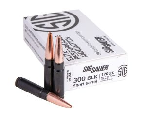 SSE300H1SBR20.jpg