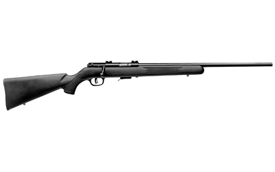 SV96700 1.jpg