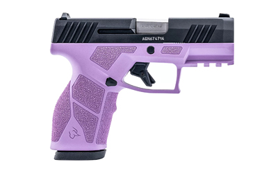 TI1 GX2931LP 10 2.jpg