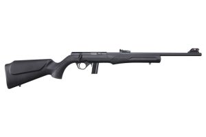 Rb22l1811.jpg