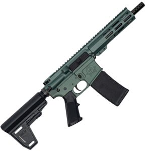 223WYLDE PSTL W/BRC 30RD GRN