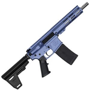 223WYLDE PSTL W/BRC SS 30R PUR